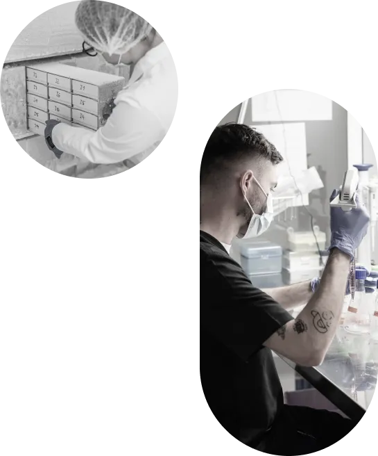 Bene Meat Technologies