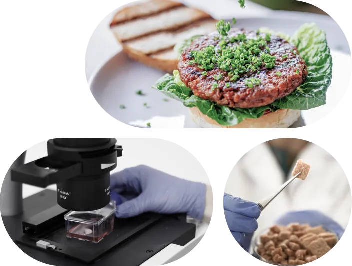 BeneMeat Technologies