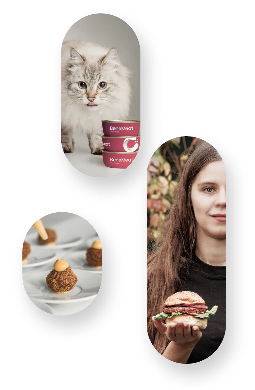BeneMeat Technologies
