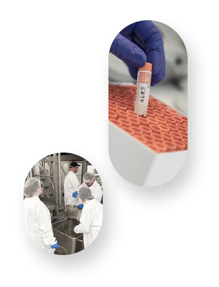 BeneMeat Technologies