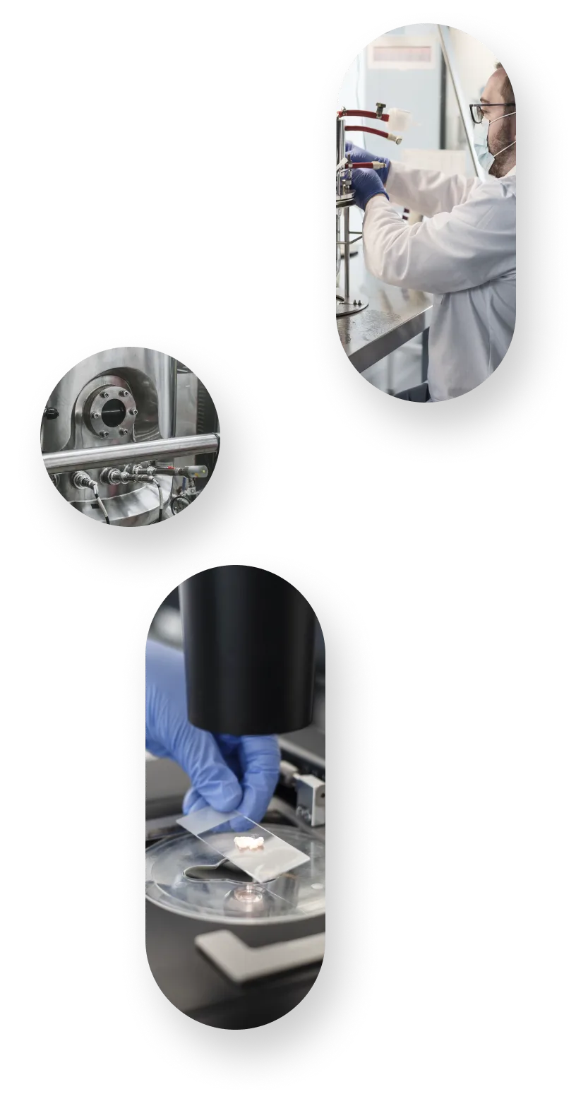 BeneMeat Technologies